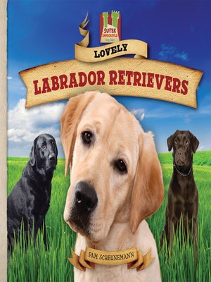 cover image of Lovely Labrador Retrievers